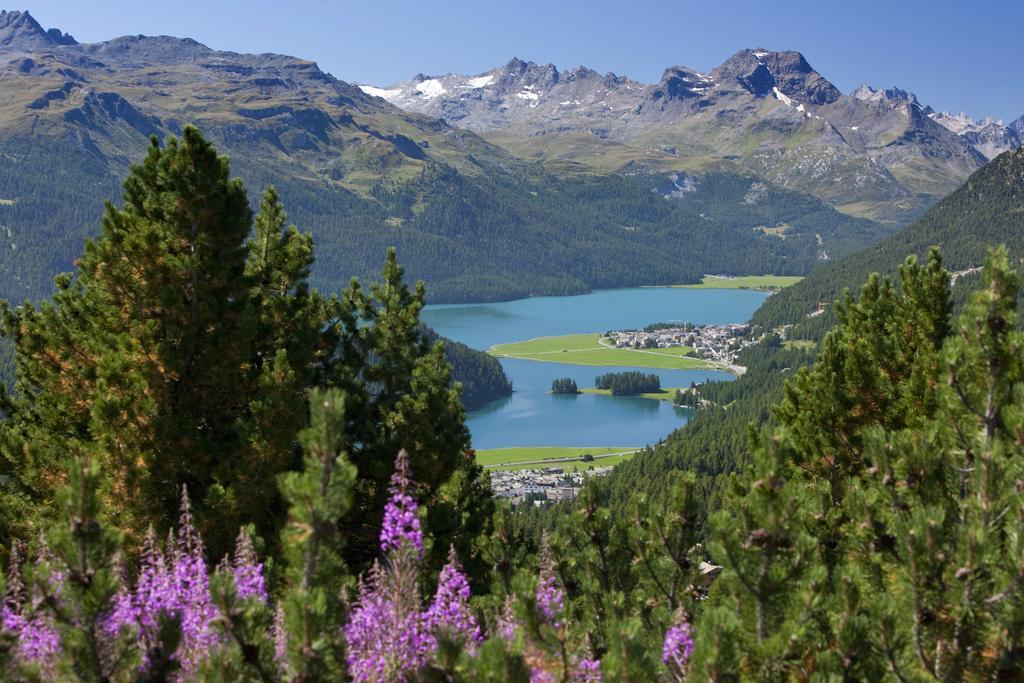 Hostel By Randolins St. Moritz Exteriör bild